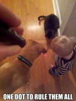 16431-donnerstags-fun-picdump-102-59