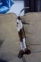 16704-donnerstags-fun-picdump-107-98