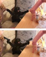 17694-donnerstags-fun-picdump-127-36