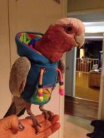 17759-donnerstags-fun-picdump-128-101