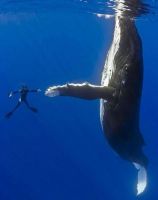 17759-donnerstags-fun-picdump-128-106