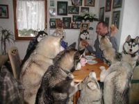 17759-donnerstags-fun-picdump-128-110