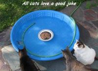 24064-donnerstag-fun-picdump-226-74