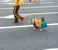doggystyle