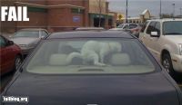 epic-fail-photos-leaving-your-dog-alone-fail